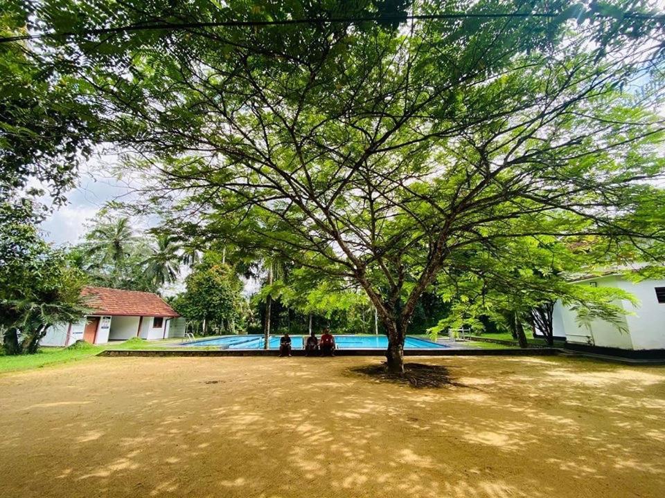 Randiyaepiliyagoda Resort Avissawella Extérieur photo