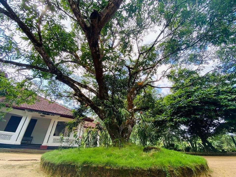 Randiyaepiliyagoda Resort Avissawella Extérieur photo
