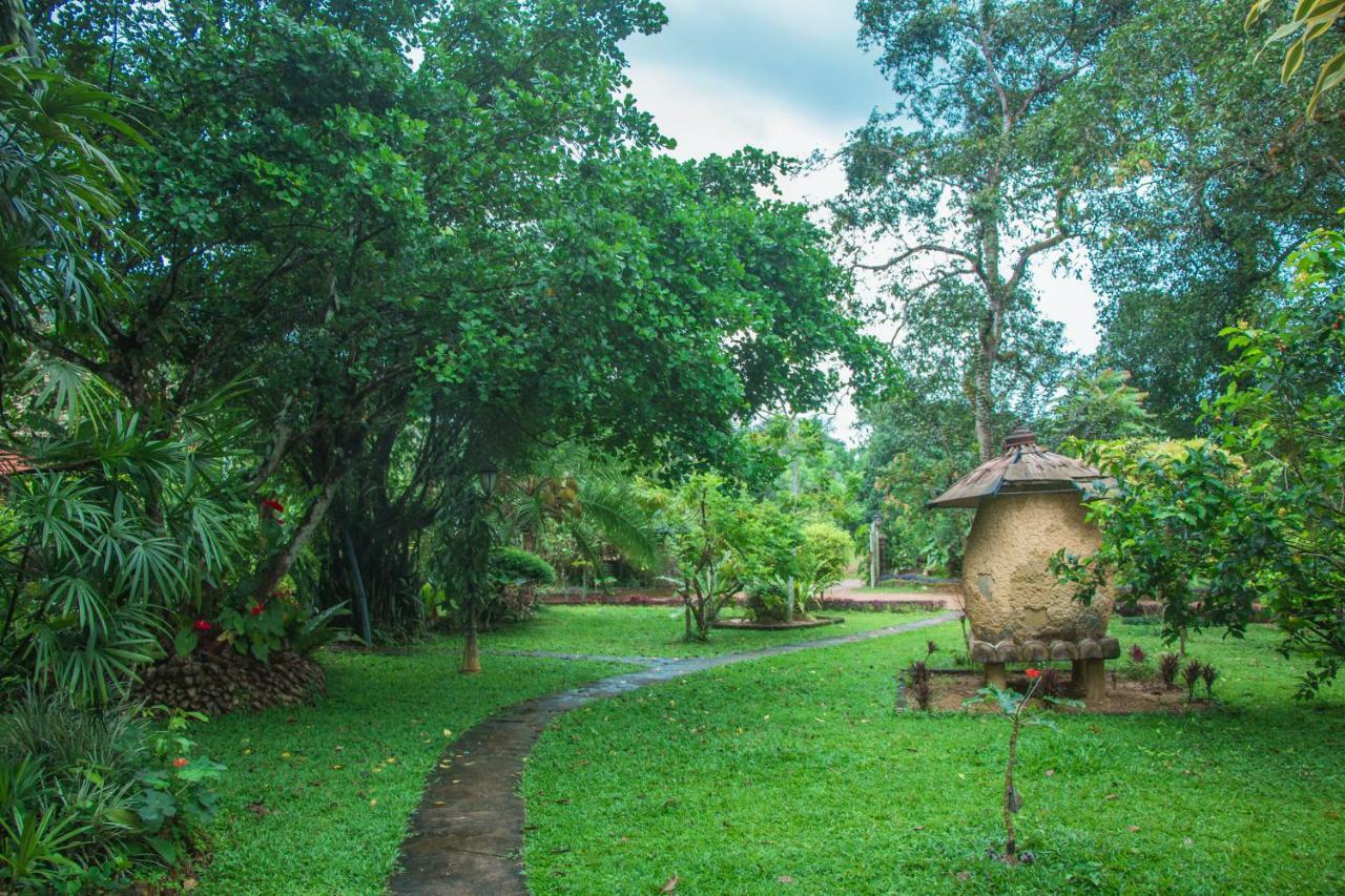 Randiyaepiliyagoda Resort Avissawella Extérieur photo
