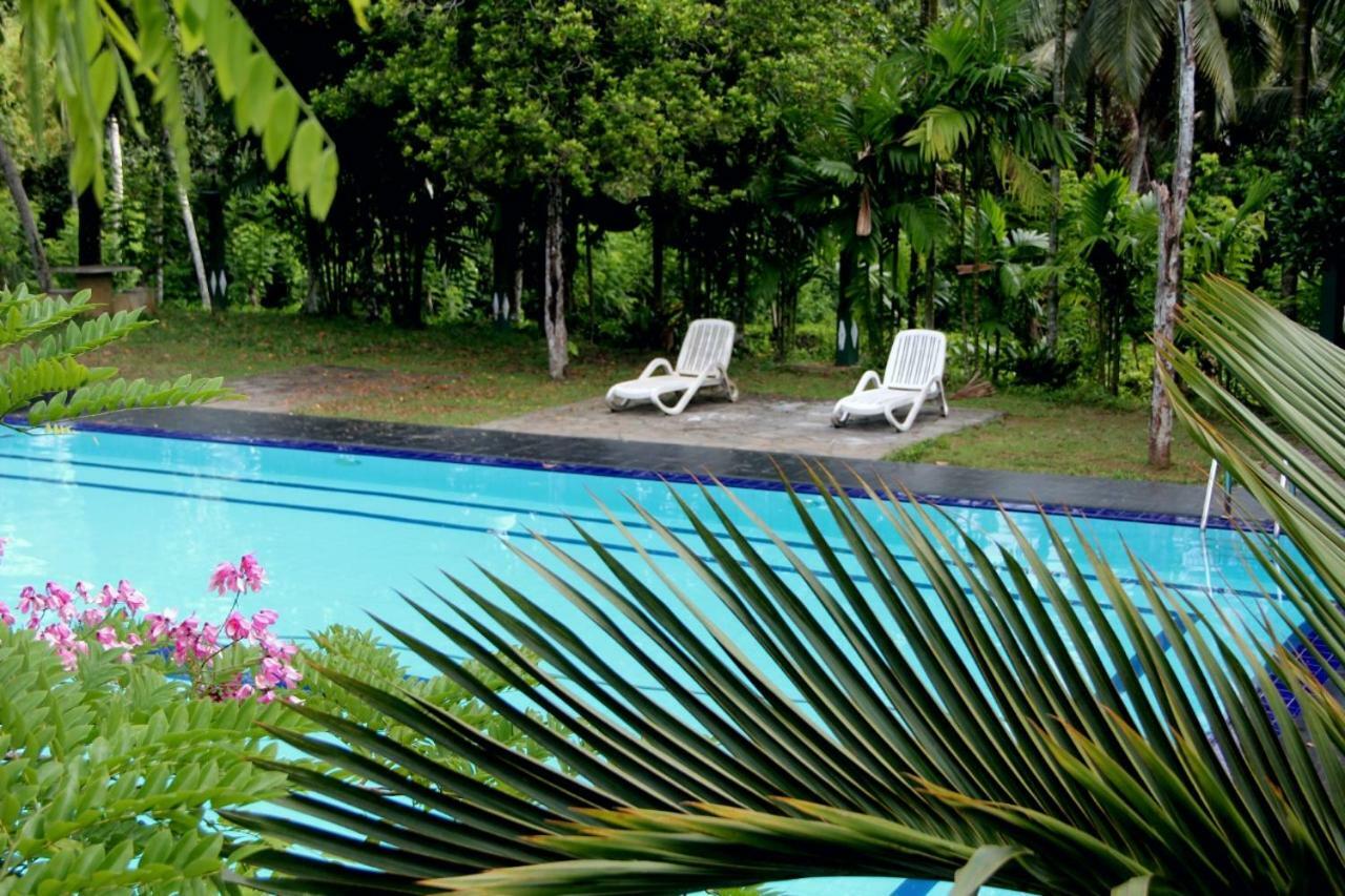 Randiyaepiliyagoda Resort Avissawella Extérieur photo